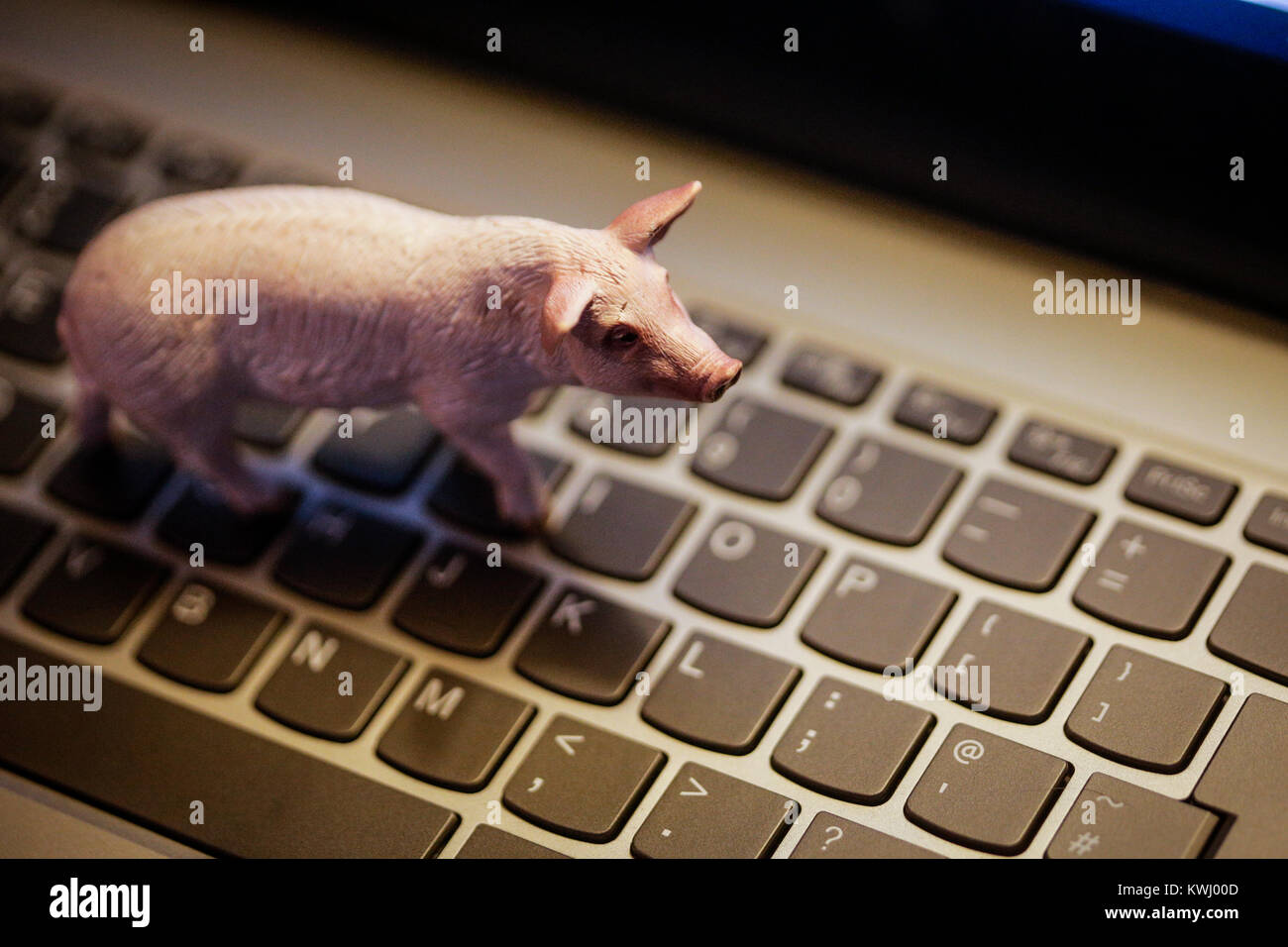 Maiale giocattolo sulla tastiera portatile - animali domestici e di agricoltura nell'era digitale Foto Stock