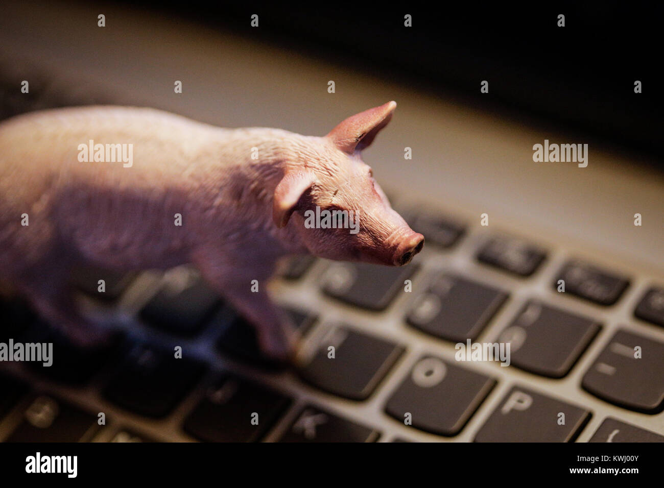 Maiale giocattolo sulla tastiera portatile - animali domestici e di agricoltura nell'era digitale Foto Stock