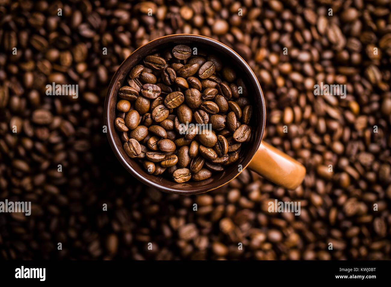 Chicchi di caffè tostati in tazza. Foto Stock