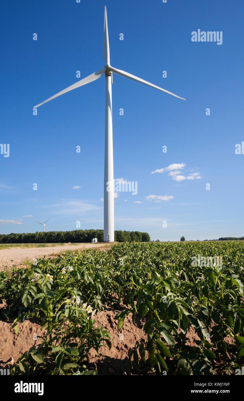 Una turbina eolica ad asse orizzontale in Ontario, Canada. Foto Stock