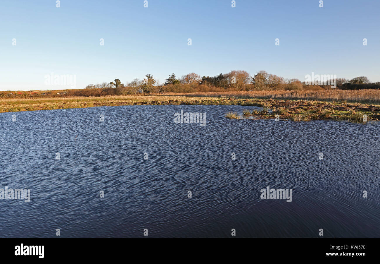 Vista sul laghetto di volo sul livello superiore Stewardship terra Hempstead, Lessingham, Norfolk Dicembre Foto Stock