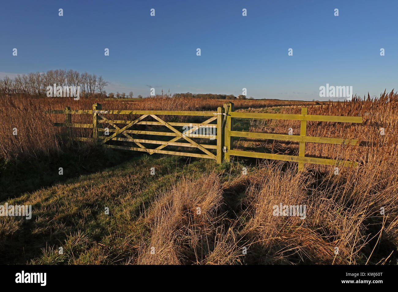 Vista sul cancello di livello superiore Stewardship terra Hempstead, Lessingham, Norfolk Dicembre Foto Stock