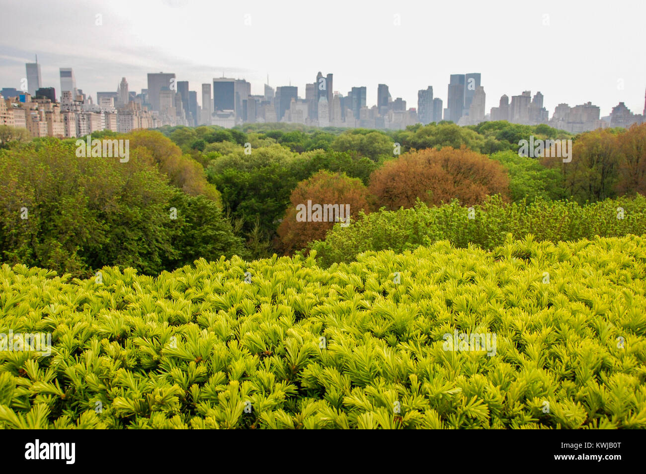 Skyline di New York guardando a sud attraverso il Central park dal tetto del Metropolitan Museum of Art, 2009 Foto Stock