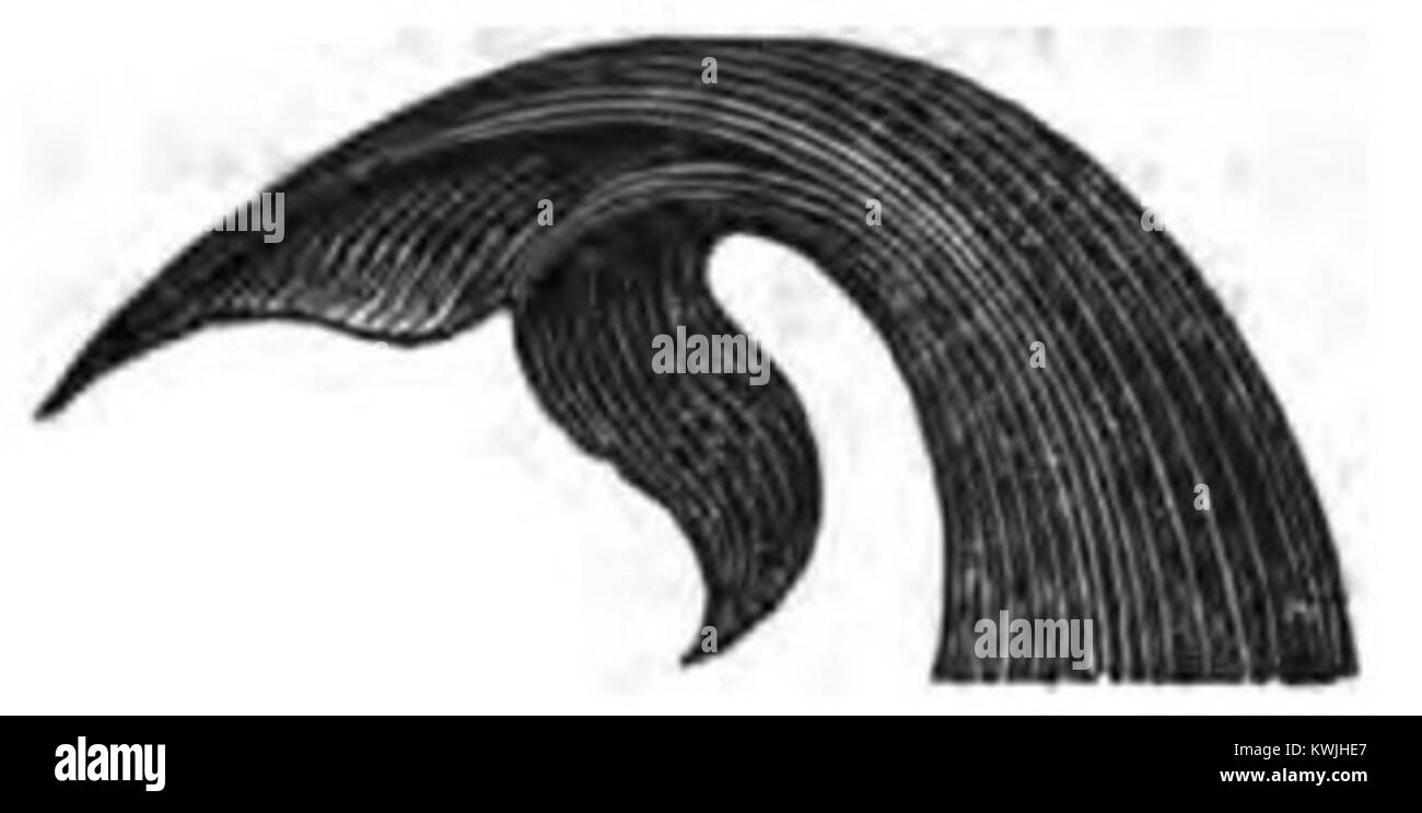 Questa pagina del diario di un viaggio in Groenlandia nel 1821 registra il passaggio artico del viaggiatore e le osservazioni sulla costa, il clima e l'ambiente della Groenlandia. Foto Stock