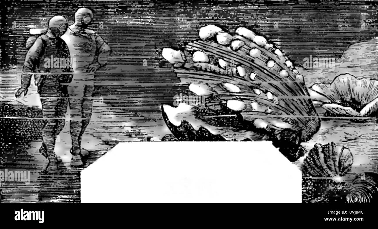 Questa targa illustrata dell'edizione polacca del 1897 del romanzo Twenty Thousand Leagues under the Sea di Jules Verne mostra una scena sottomarina resa in linea con incisioni e lavaggi, accompagnando la storia dell'esplorazione in alto mare e dell'avventura marina. Foto Stock