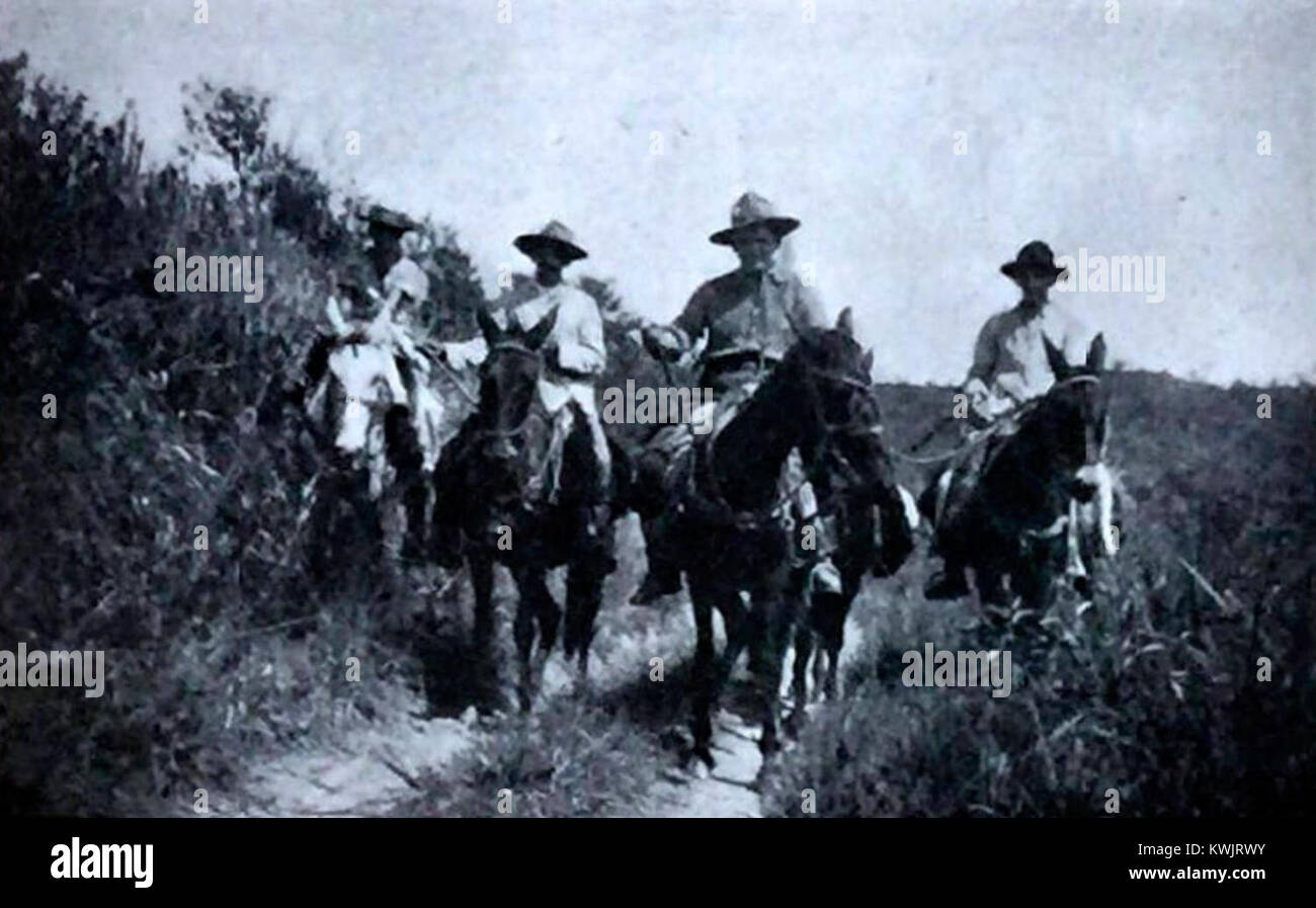 "Żyto W dżungli" (Rye nella giungla) di Zbigniew Uniłowski è una continuazione della sua narrazione visiva, concentrandosi sui temi della sopravvivenza rurale in ambienti difficili, esplorando la resilienza della natura. Foto Stock