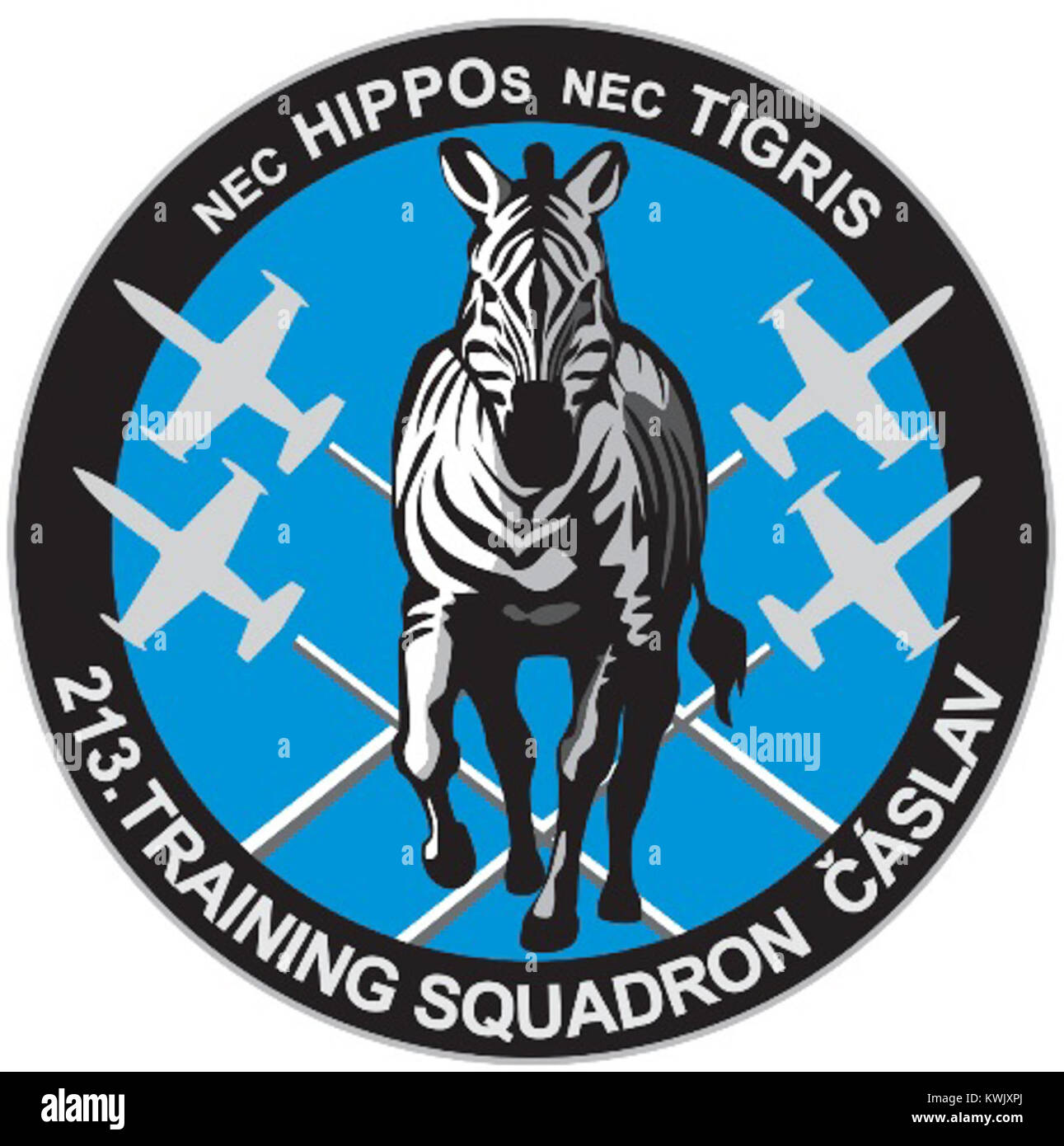 Un'insegna storica che rappresenta il 213° squadrone, Zvikov. Questo emblema mette in risalto la storia militare e il simbolismo associati allo squadrone durante il suo periodo operativo. Foto Stock