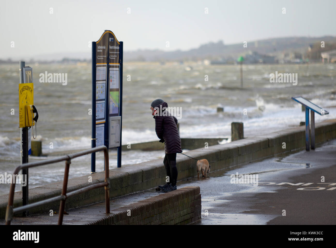 Un cane femmina walker segno di lettura sul lungomare della parete del mare di fronte a un forte vento di tempesta Eleonora. Telefono di emergenza e bacheca. Mare mosso. Il Tamigi Foto Stock
