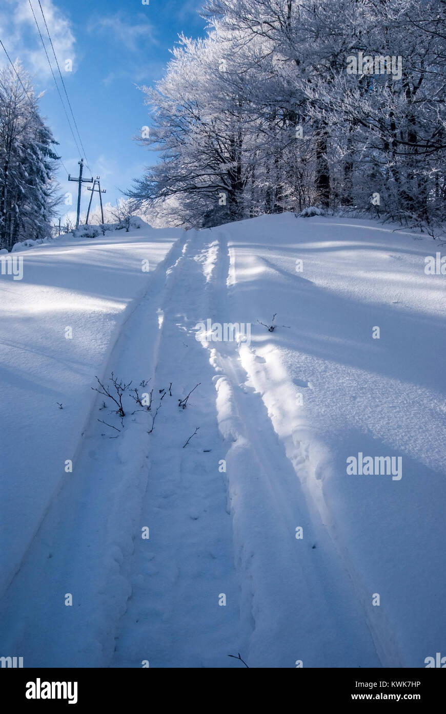 Inverno vicino Wielka Racza hill in Zywiec Beskids montagne sul polacco - SLOVACCHIA Frontiere con neve,congelati alberi, sentiero escursionistico e cielo blu con pochi clo Foto Stock