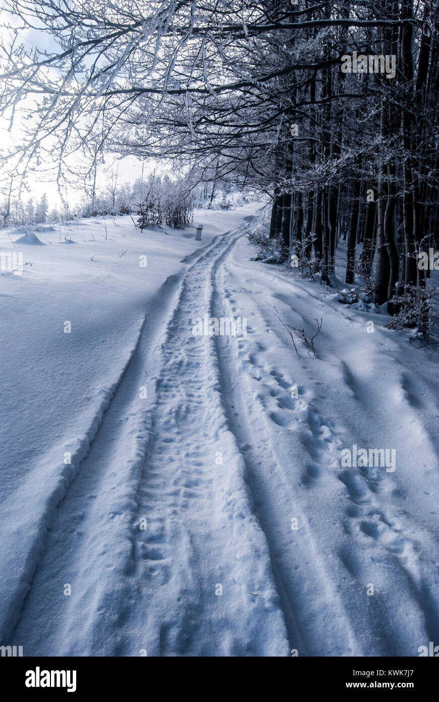 Paesaggio invernale con neve, sentiero escursionistico e alberi congelati bellow Velka Raca hill nelle montagne Beskids su slovacco - frontiere polacche Foto Stock