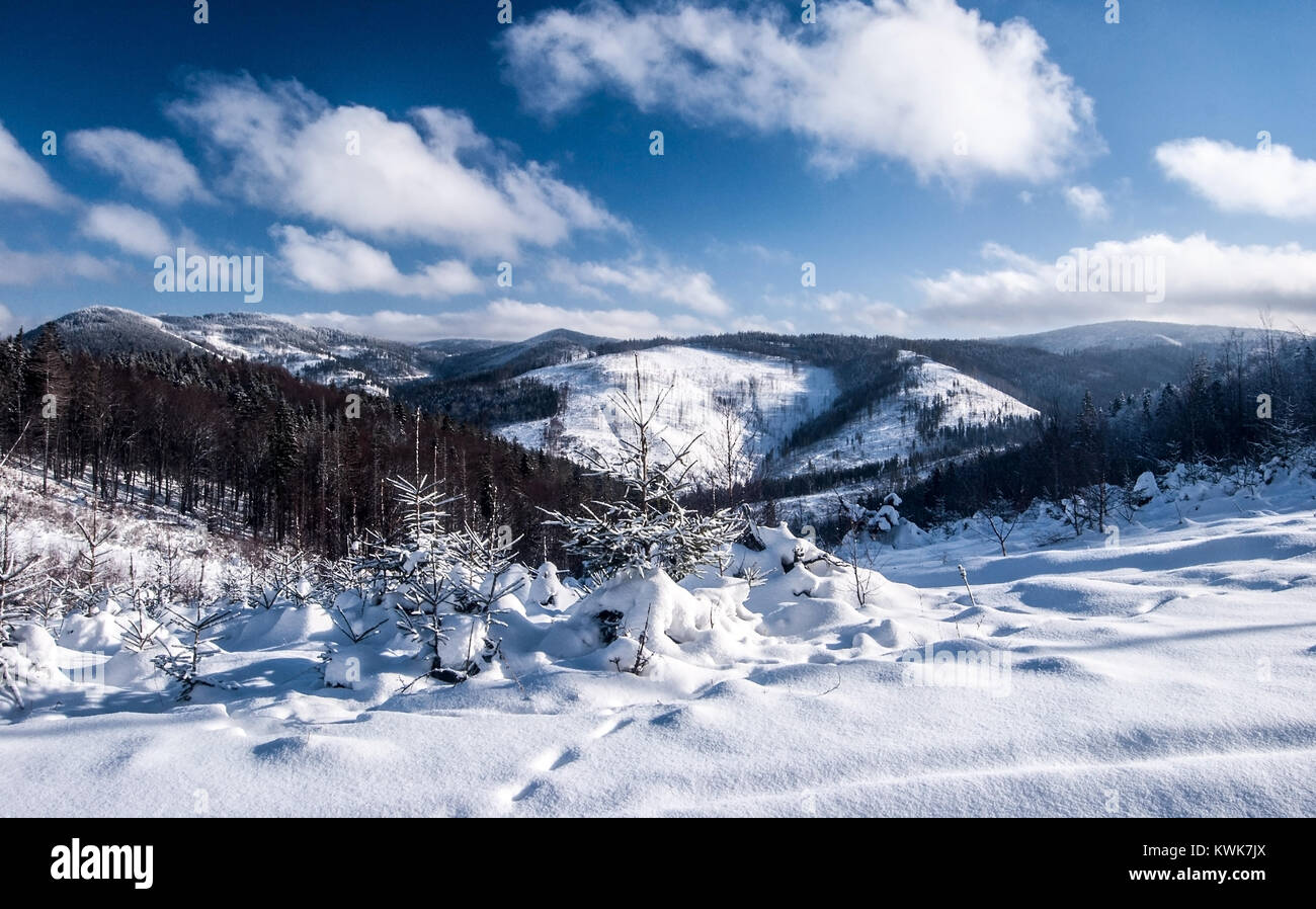 Inverno montagna paesaggi con coperta di neve colline e cielo blu con nuvole da Wielki Przyslop (Velky Prislop) collina in Zywiec Beskids (Kysucke Beskydy) Foto Stock