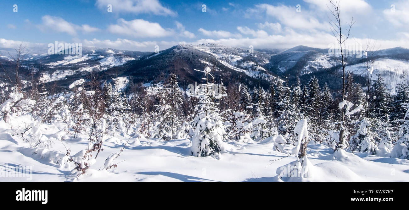 Inverno montagna paesaggi con coperta di neve colline e cielo blu con nuvole da Wielki Przyslop (Velky Prislop) collina in Zywiec Beskids (Kysucke Beskydy) Foto Stock