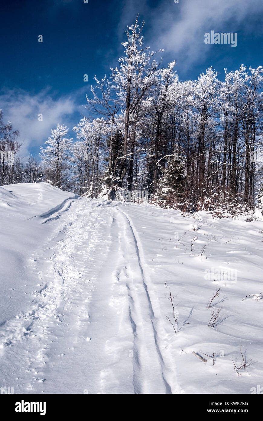 Coperta di neve sentiero escursionistico con alberi di surgelati e cielo blu con nuvole di Kysucke Beskydy (Beskid Zywiecki) montagne tra Kykula (Kikula) e Velka Foto Stock