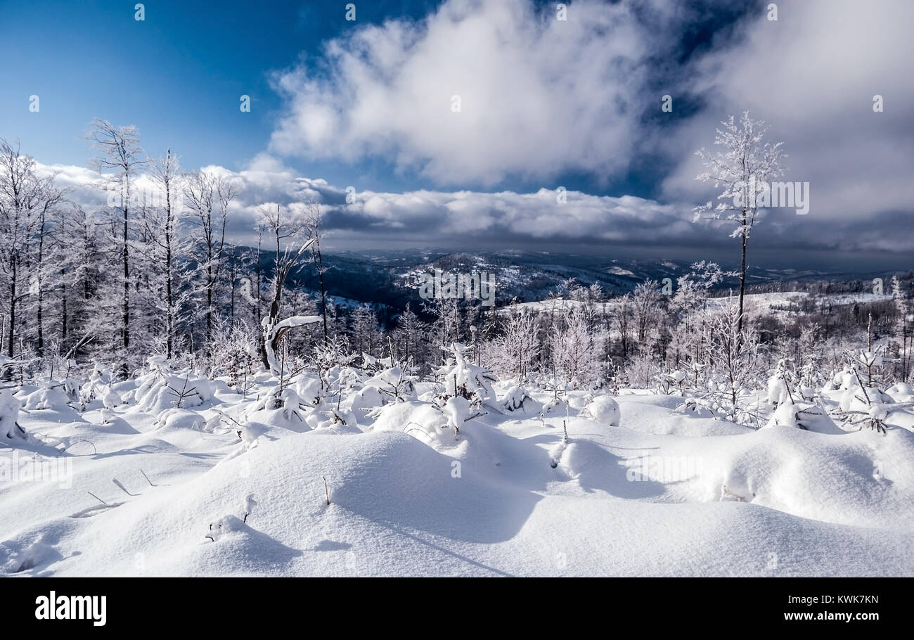 Paesaggio montano invernale con neve, congelati alberi, colline sullo sfondo e il cielo blu con nuvole vicino Kykula hill in Zywiec Beskids (Kysucke Beskydy) Foto Stock