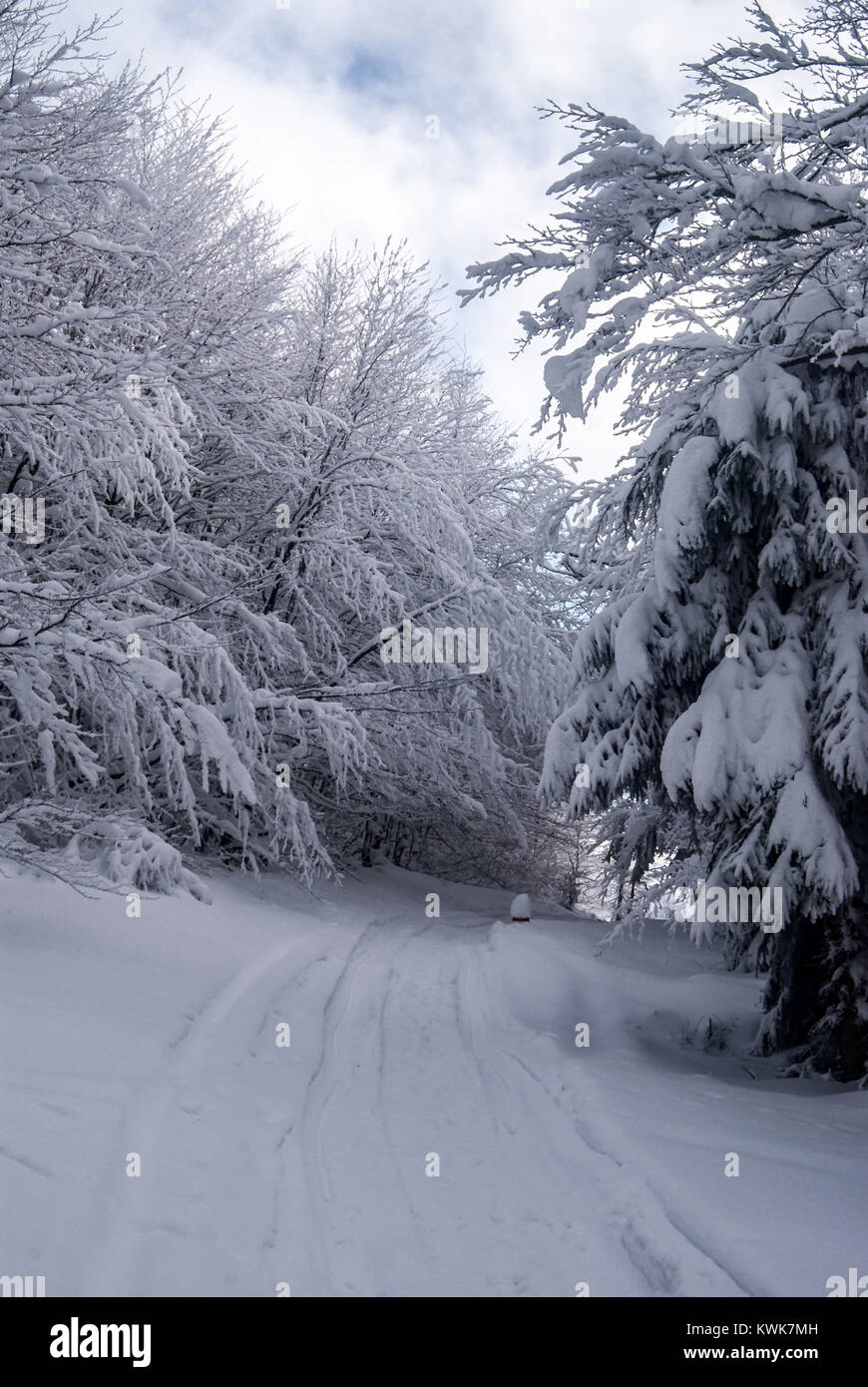 Escursioni invernali sentiero con alberi congelati intorno e cielo blu con nuvole bellow Kykula hill in Beskid Zywiecki (Kysucke Beskydy) montagne sul polacco - sl Foto Stock