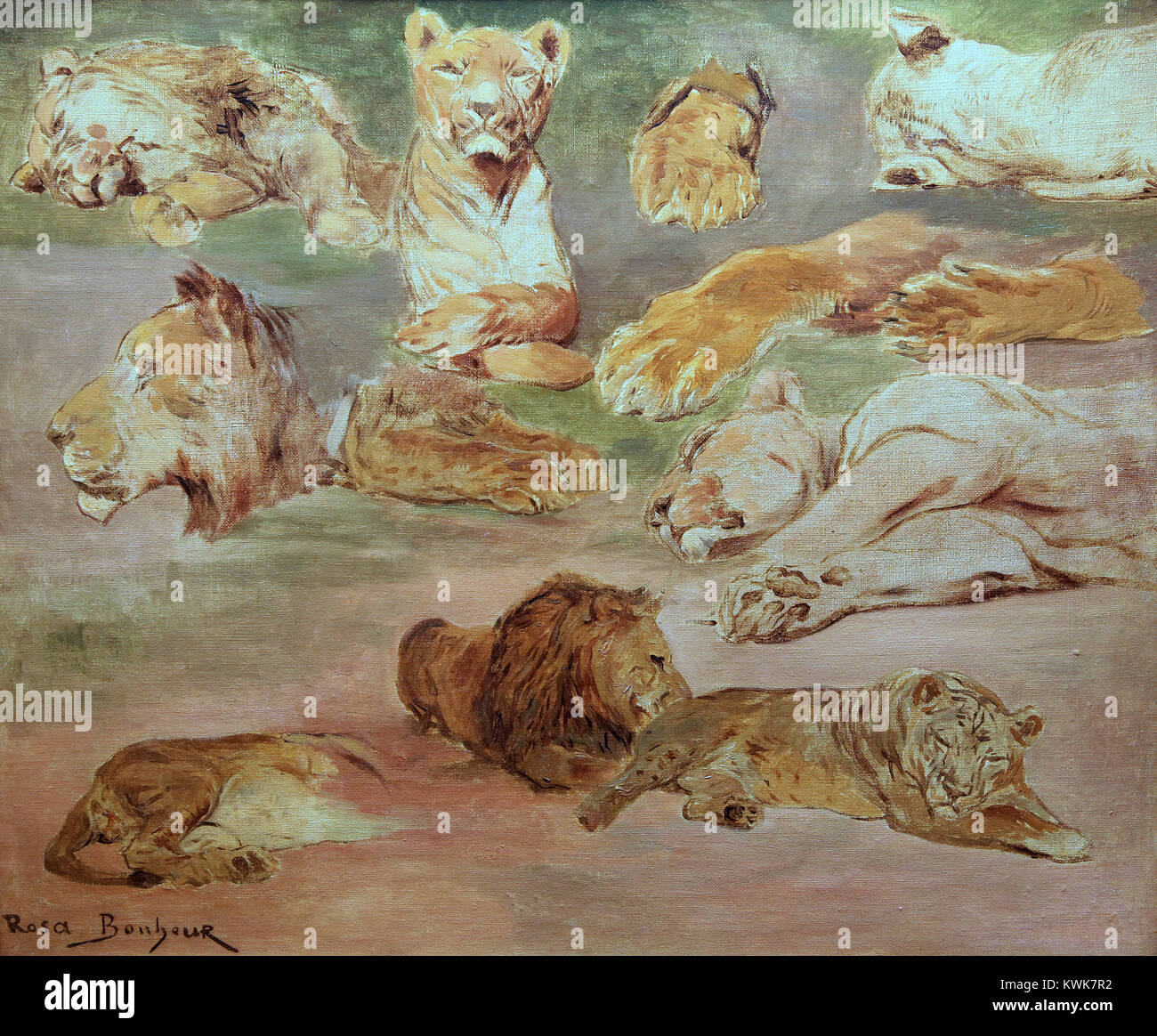 I Lions di Rosa Bonheur 1822-1899 pittore di animali Foto Stock