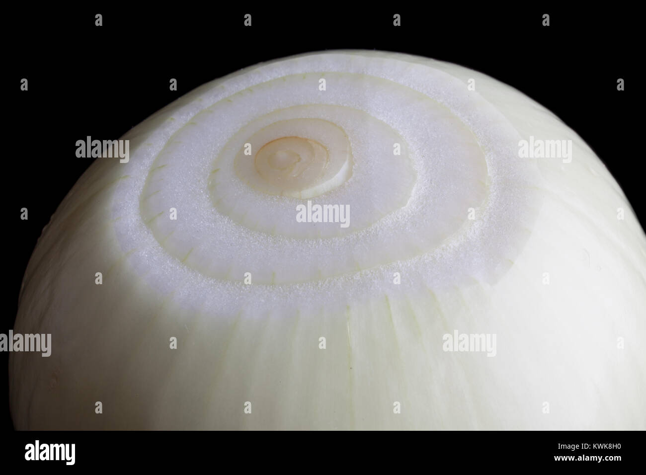 Sbucciate la cipolla lampadina closeup su sfondo nero Foto Stock