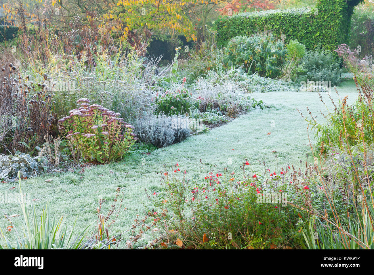 Hall Farm giardino, Harpswell, Lincolnshire, Regno Unito. In autunno, novembre 2017. Foto Stock