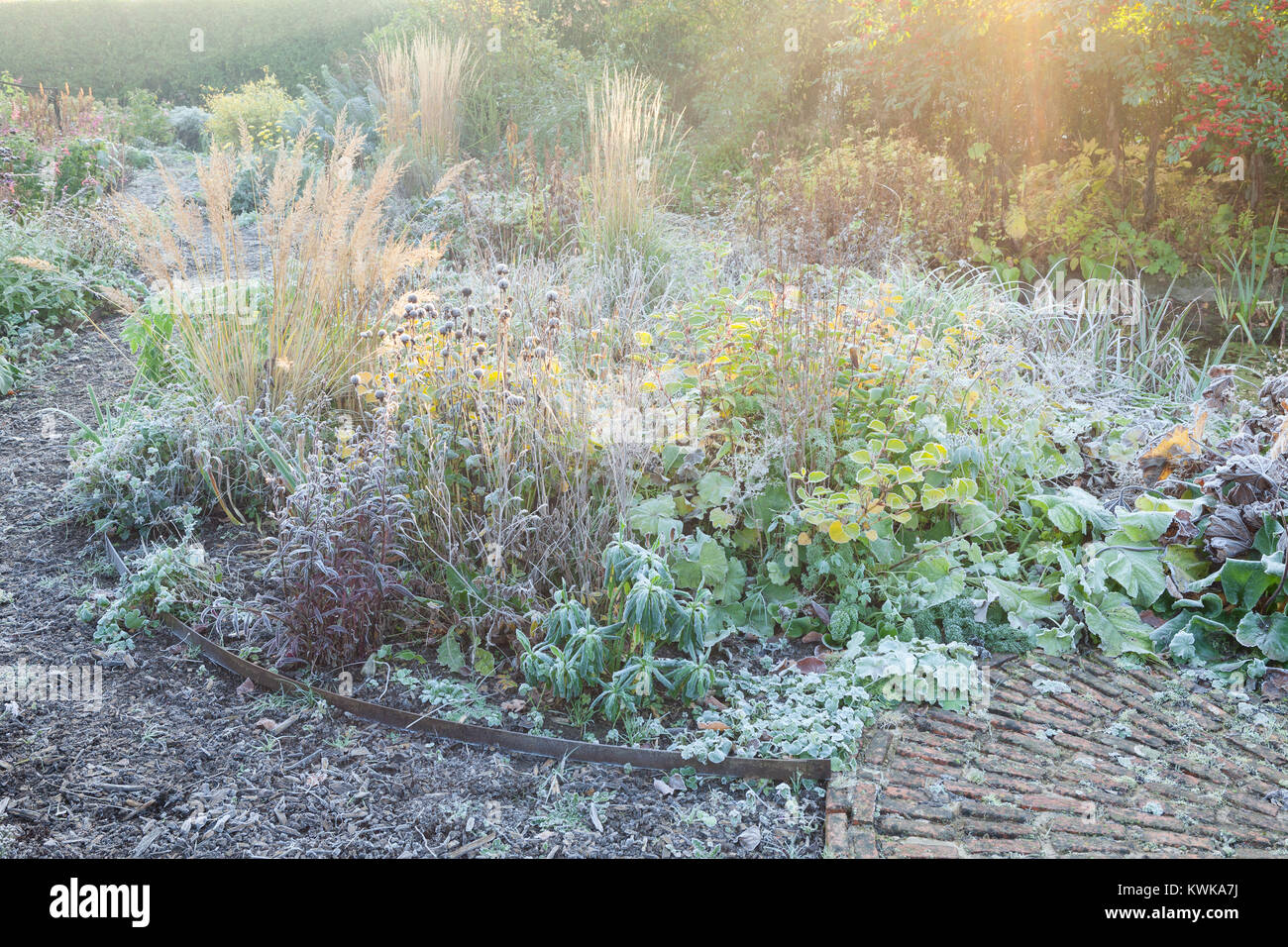 Hall Farm giardino, Harpswell, Lincolnshire, Regno Unito. In autunno, novembre 2017. Foto Stock