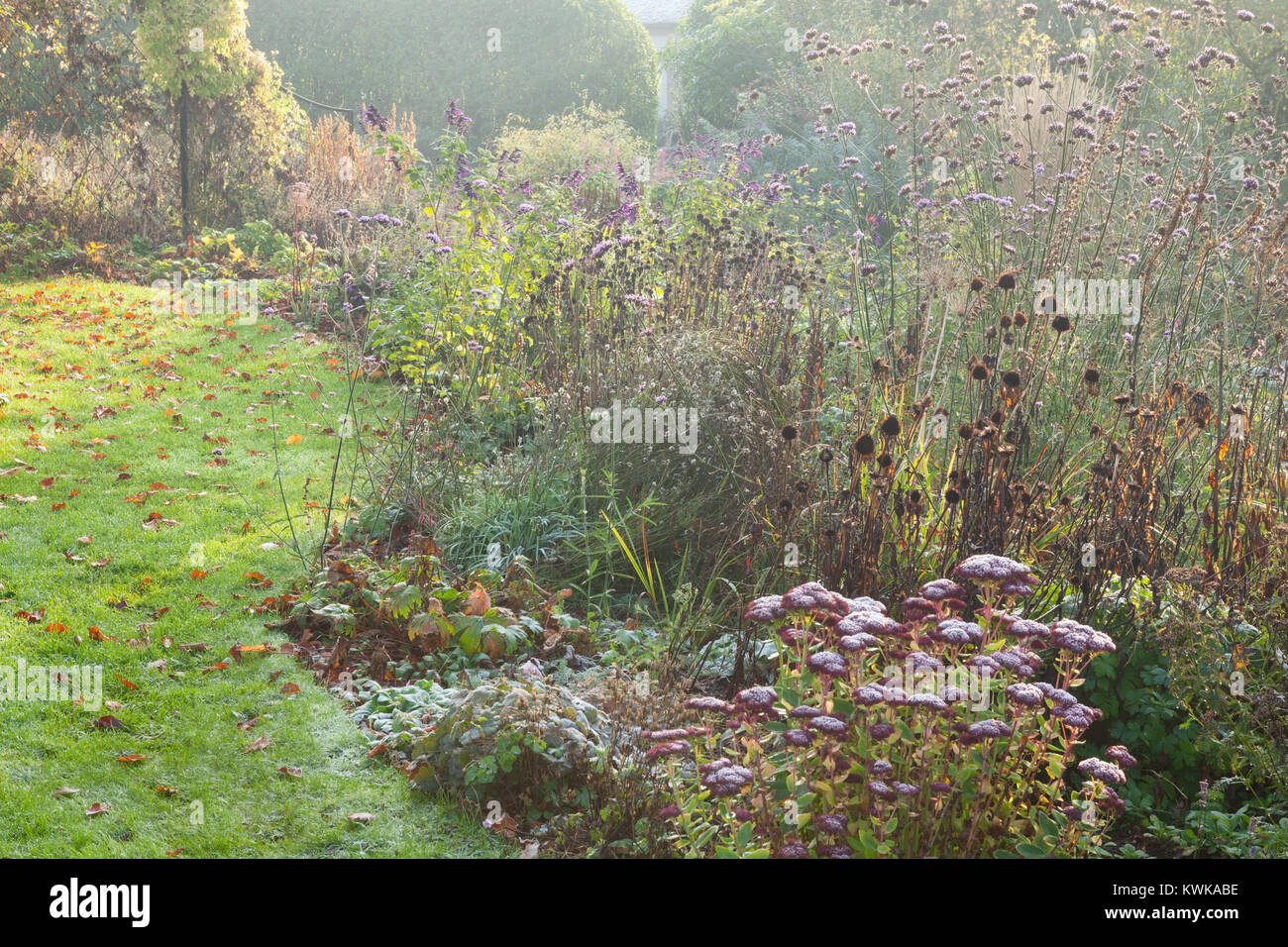 Hall Farm giardino, Harpswell, Lincolnshire, Regno Unito. In autunno, novembre 2017. Foto Stock