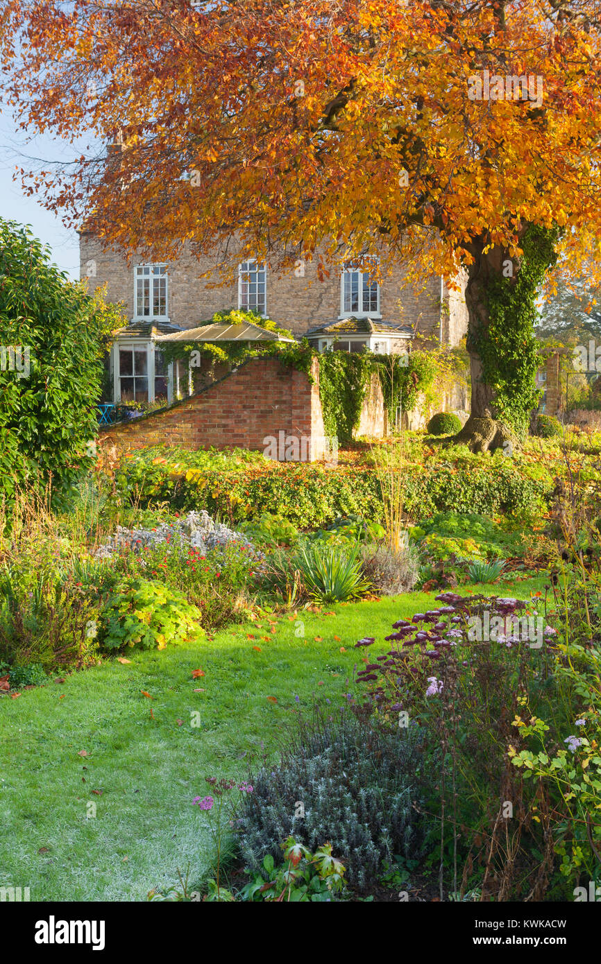 Hall Farm giardino, Harpswell, Lincolnshire, Regno Unito. In autunno, novembre 2017. Foto Stock