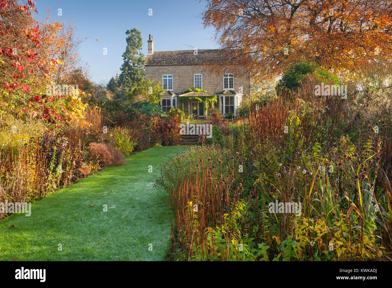 Hall Farm giardino, Harpswell, Lincolnshire, Regno Unito. In autunno, novembre 2017. Foto Stock