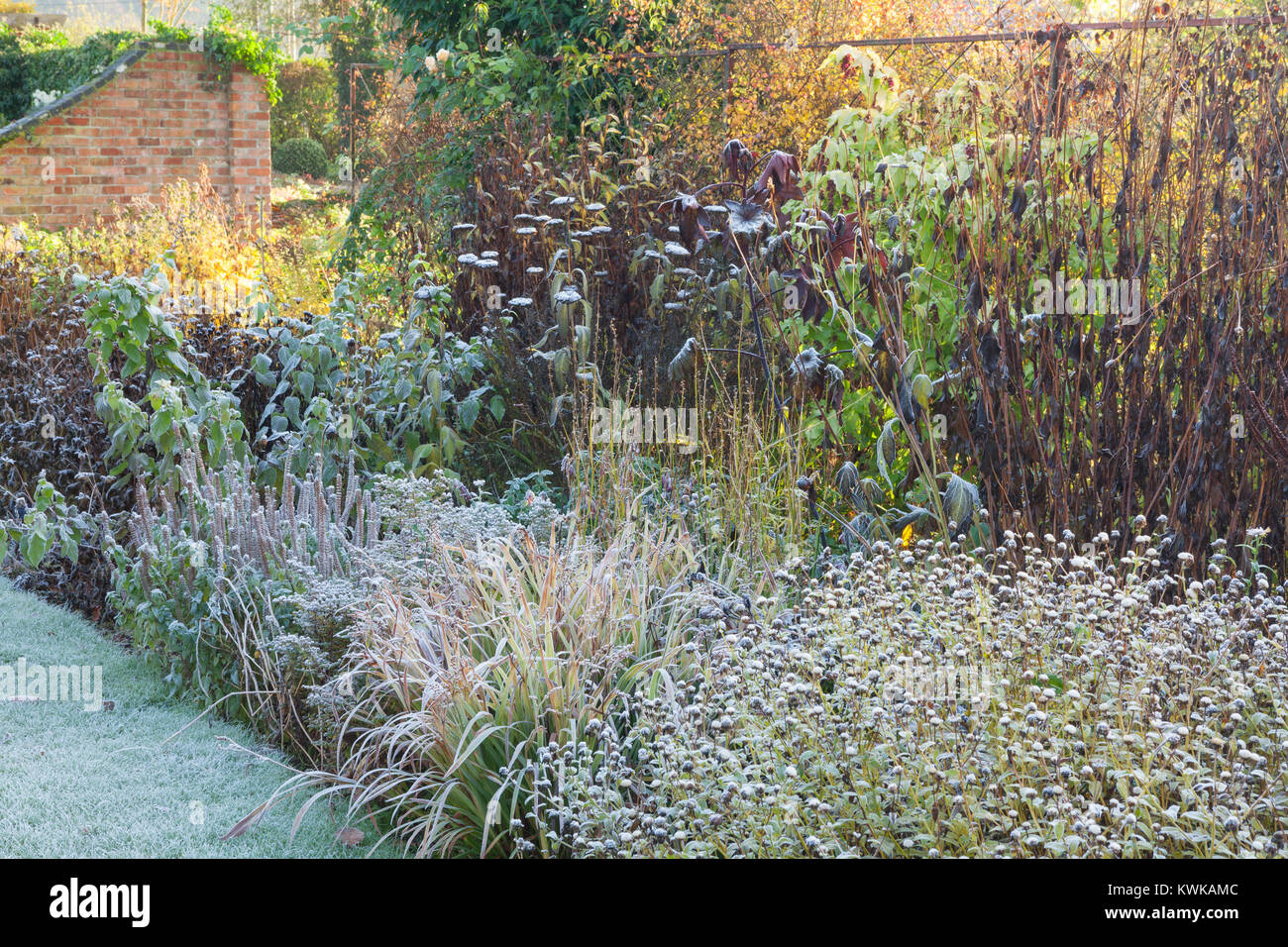 Hall Farm giardino, Harpswell, Lincolnshire, Regno Unito. In autunno, novembre 2017. Foto Stock