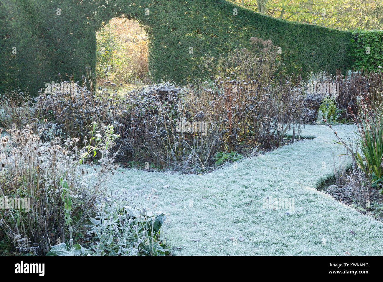 Hall Farm giardino, Harpswell, Lincolnshire, Regno Unito. In autunno, novembre 2017. Foto Stock