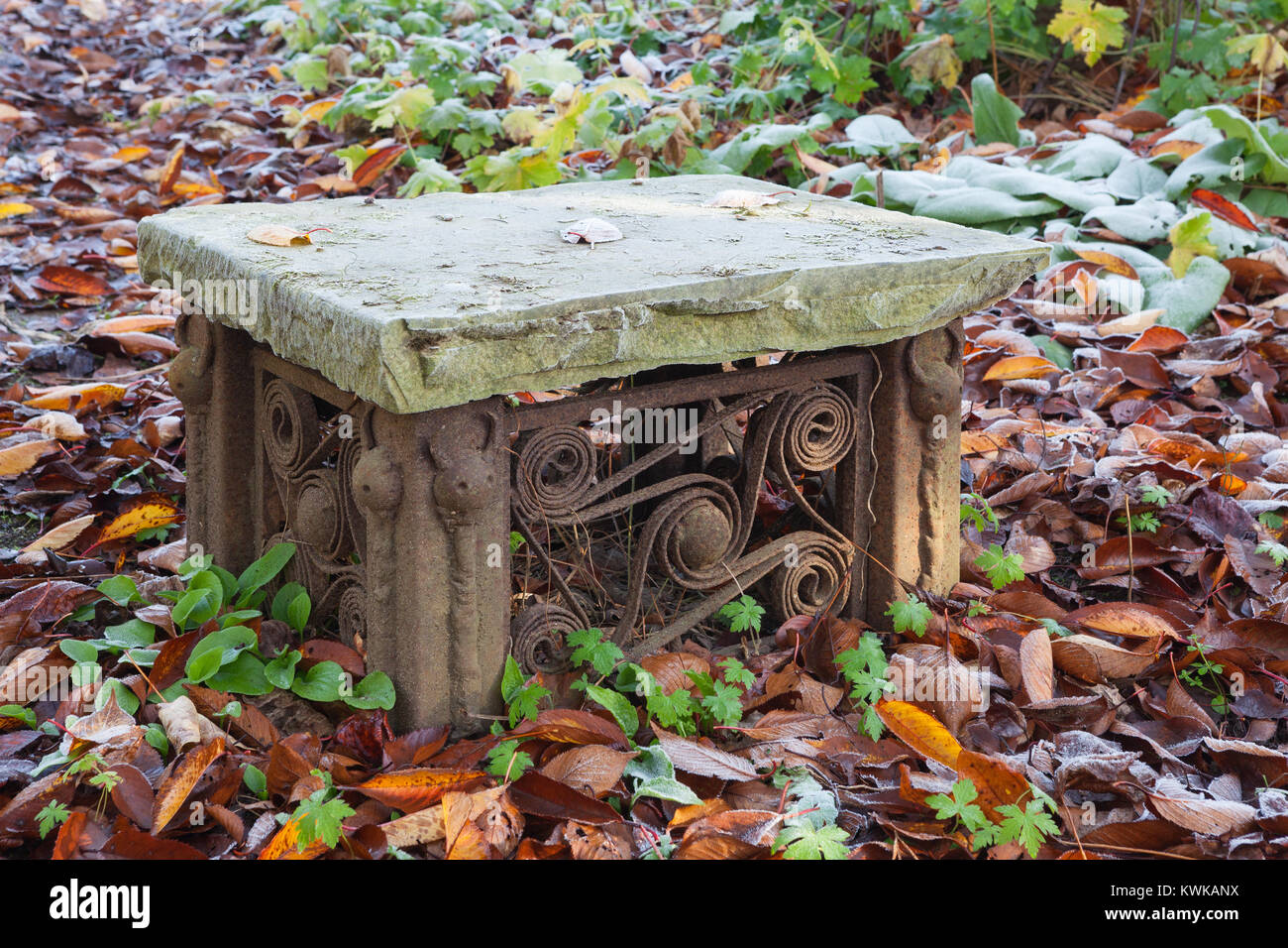 Hall Farm giardino, Harpswell, Lincolnshire, Regno Unito. In autunno, novembre 2017. Foto Stock