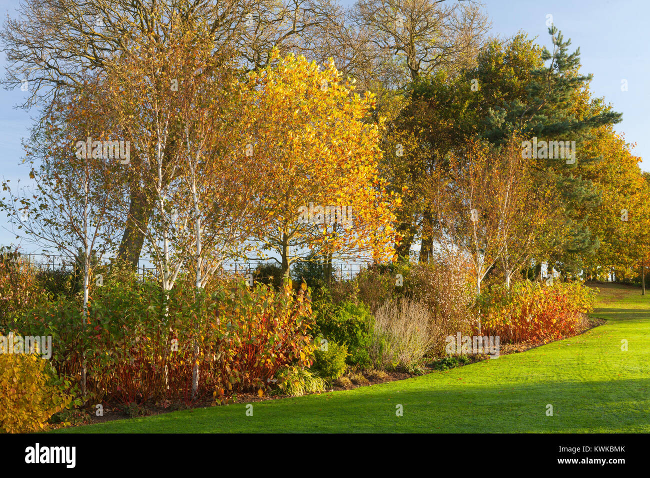 Brightwater giardini, Saxby, Lincolnshire, Regno Unito. In autunno, ottobre 2017. Foto Stock