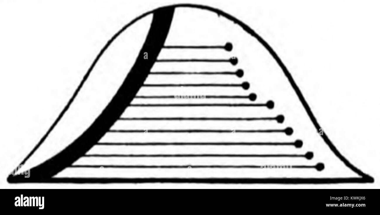 Un numero della rivista letteraria e culturale Ucraina "Zoria" del settembre 1894, con articoli e scritti che riflettono i movimenti sociali, letterari e nazionali dell'Ucraina del tardo XIX secolo. Foto Stock