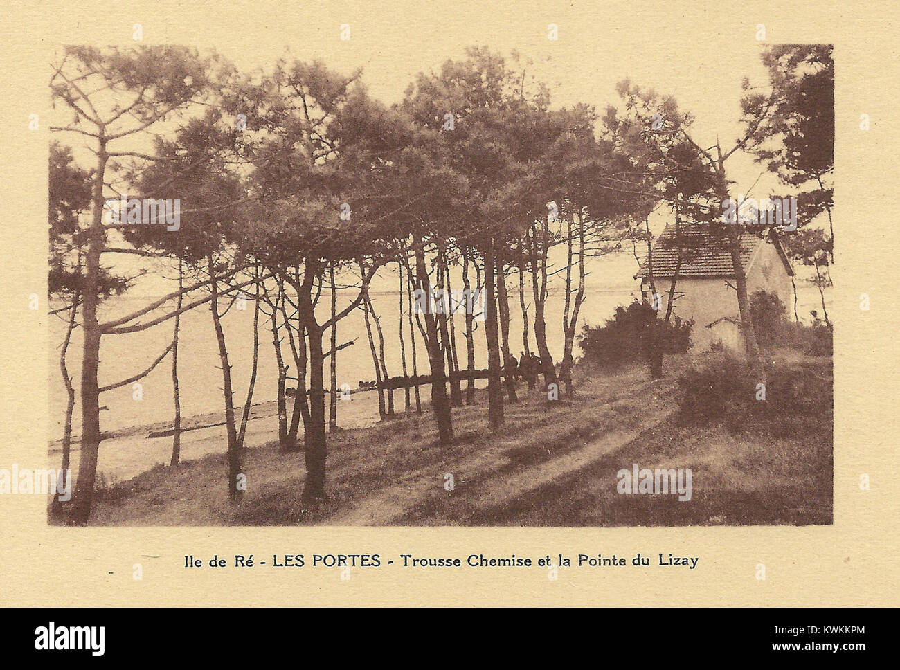 Fotografia della costa francese dell'Île de Ré, che mostra Les Portes-Trousse Chemise e Pointe du Lizay, che cattura dune, vegetazione e il paesaggio naturale costiero della costa atlantica. Foto Stock
