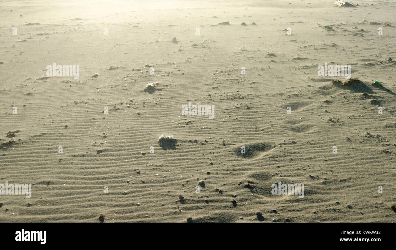 Crazy terreno sulla spiaggia che guarda come un altro pianeta Foto Stock