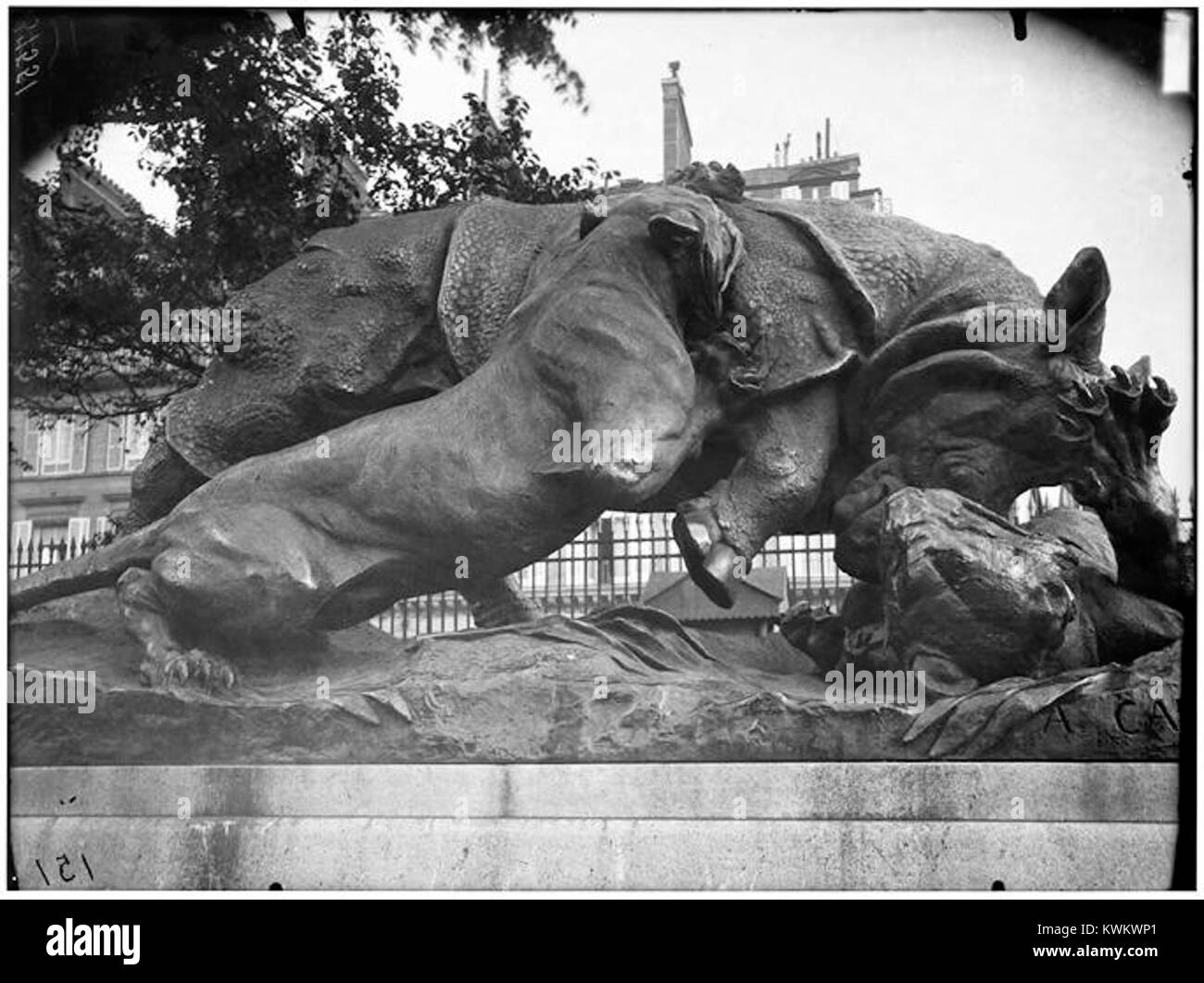 La scultura in bronzo ''Rhinoceros Attack by a Tiger'' di Auguste Nicolas Cayn (1882-1884) raffigura una tigre che attacca un rinoceronte, installato nel Jardin des Tuileries di Parigi come parte della sua collezione di sculture animali del XIX secolo. Foto Stock La scultura in bronzo ''Rhinoceros Attack by a Tiger'' di Auguste Nicolas Cayn (1882-1884) raffigura una tigre che attacca un rinoceronte, installato nel Jardin des Tuileries di Parigi come parte della sua collezione di sculture animali del XIX secolo. Foto Stock