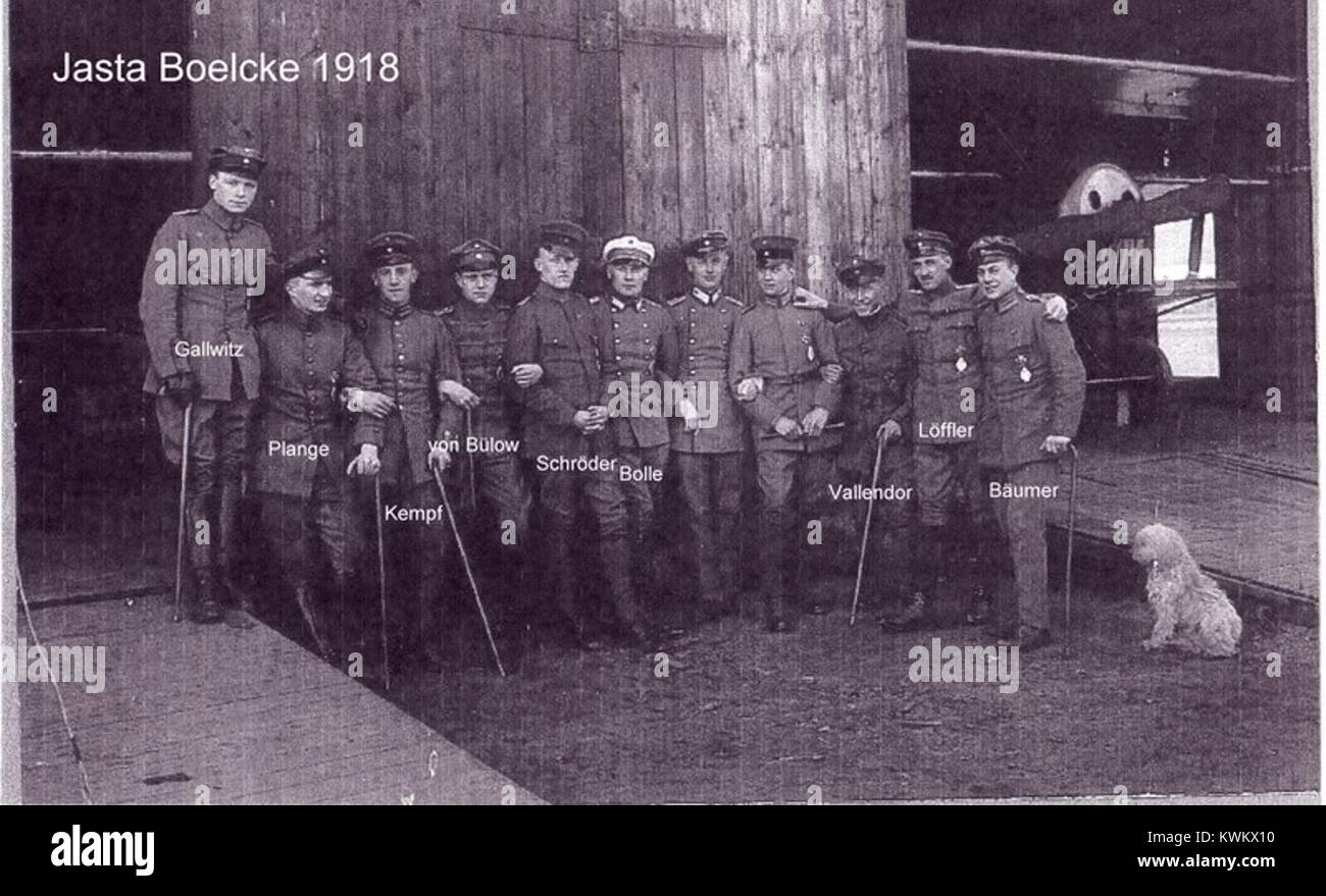 Questa immagine presenta una rappresentazione della Jasta 2 "Boelcke" nel 1918, che mostra lo squadrone di caccia tedesco della prima guerra mondiale che prende il nome dal famoso asso volante Oswald Boelcke. Foto Stock
