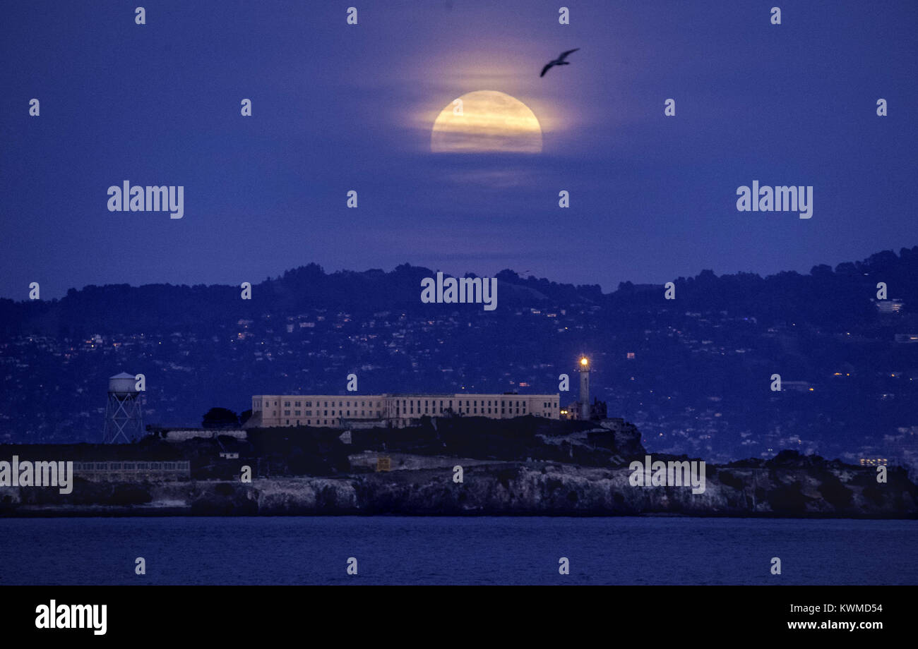 San Francisco, CALIFORNIA, STATI UNITI D'AMERICA. 1a gen, 2018. Un uccello vola vicino al supermoon come sorge in Isola di Alcatraz a San Francisco, la California il 01 gennaio, 2018. Questo supermoon, o Wolf luna come viene anche chiamato, appare il 14% più luminoso e più grande nel cielo a causa della sua vicinanza alla terra. Credito: Josh Edelson/ZUMA filo/Alamy Live News Foto Stock