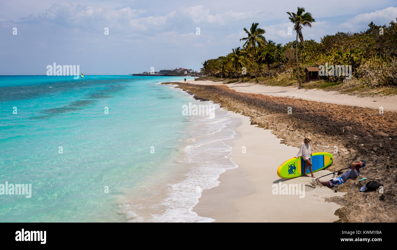 Persona si fermò sulla spiaggia tropicale idilliaco con tavola da surf e le palme in background Foto Stock