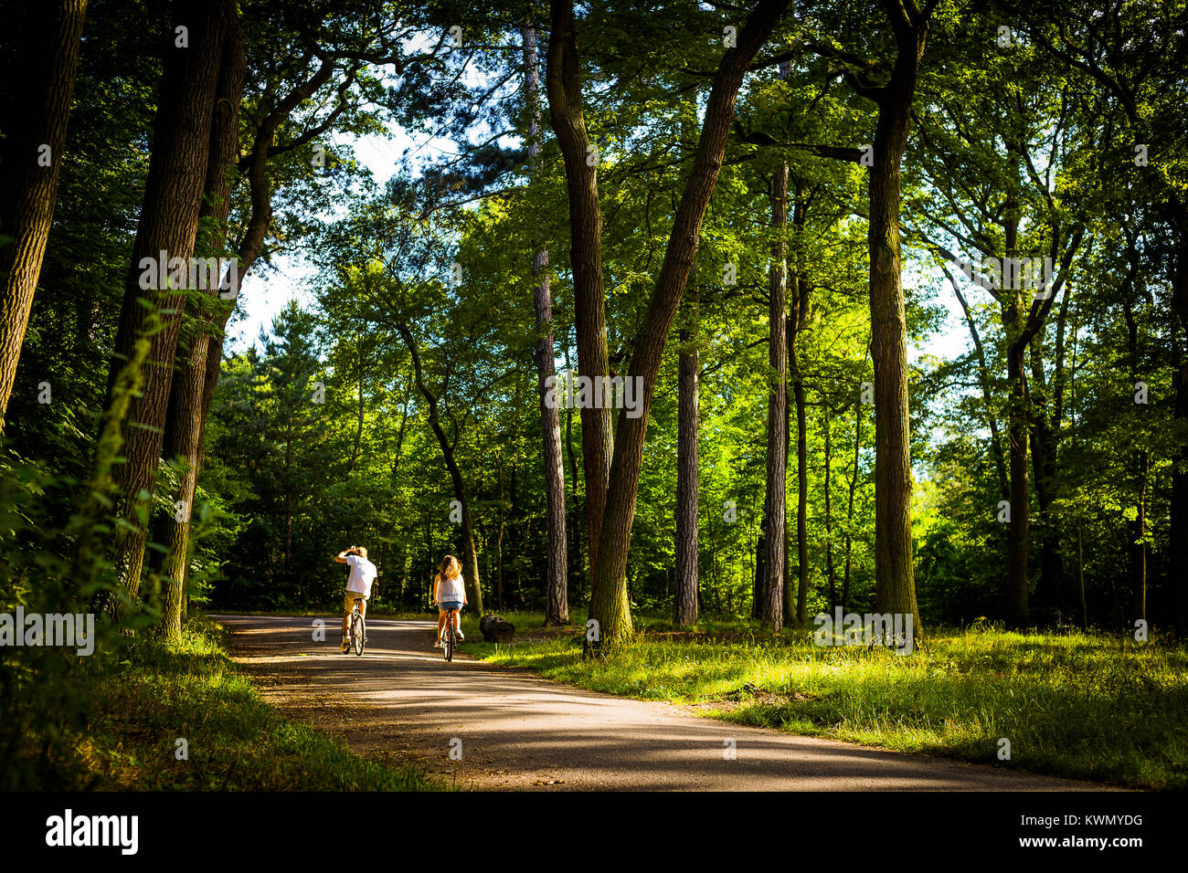 L uomo e la donna in bicicletta lontano dalla telecamera attraverso una foglia verde foresta lungo una strada sterrata in estate Foto Stock