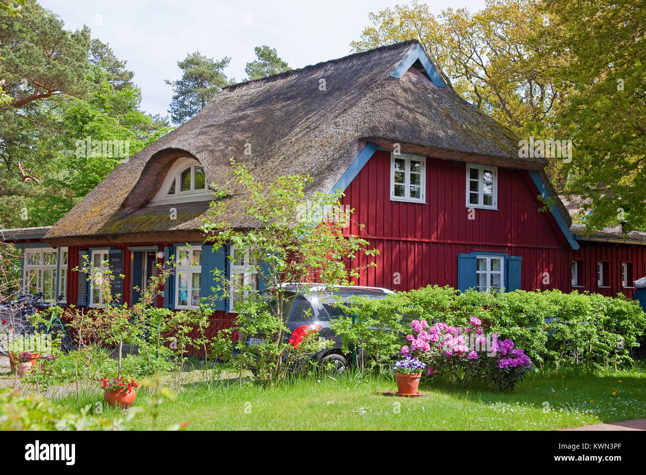 Idilliaco con tetto di paglia casa con giardino, Prerow, Fishland, Meclemburgo-Pomerania, Mar Baltico, Germania, Europa Foto Stock