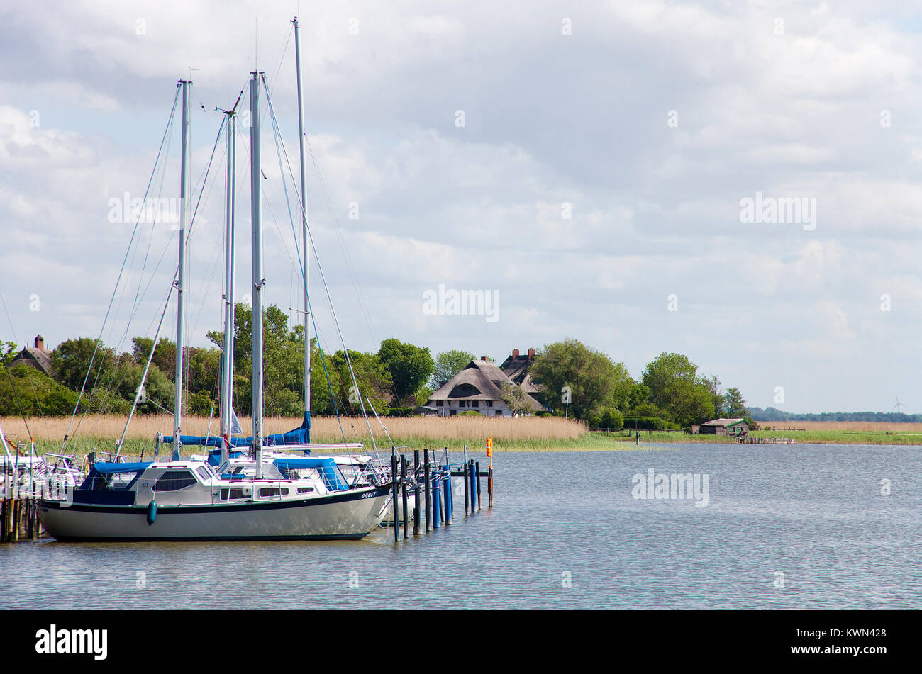 Barche a vela presso il porto di Wustrow, Fishland, Meclemburgo-Pomerania, Mar Baltico, Germania, Europa Foto Stock