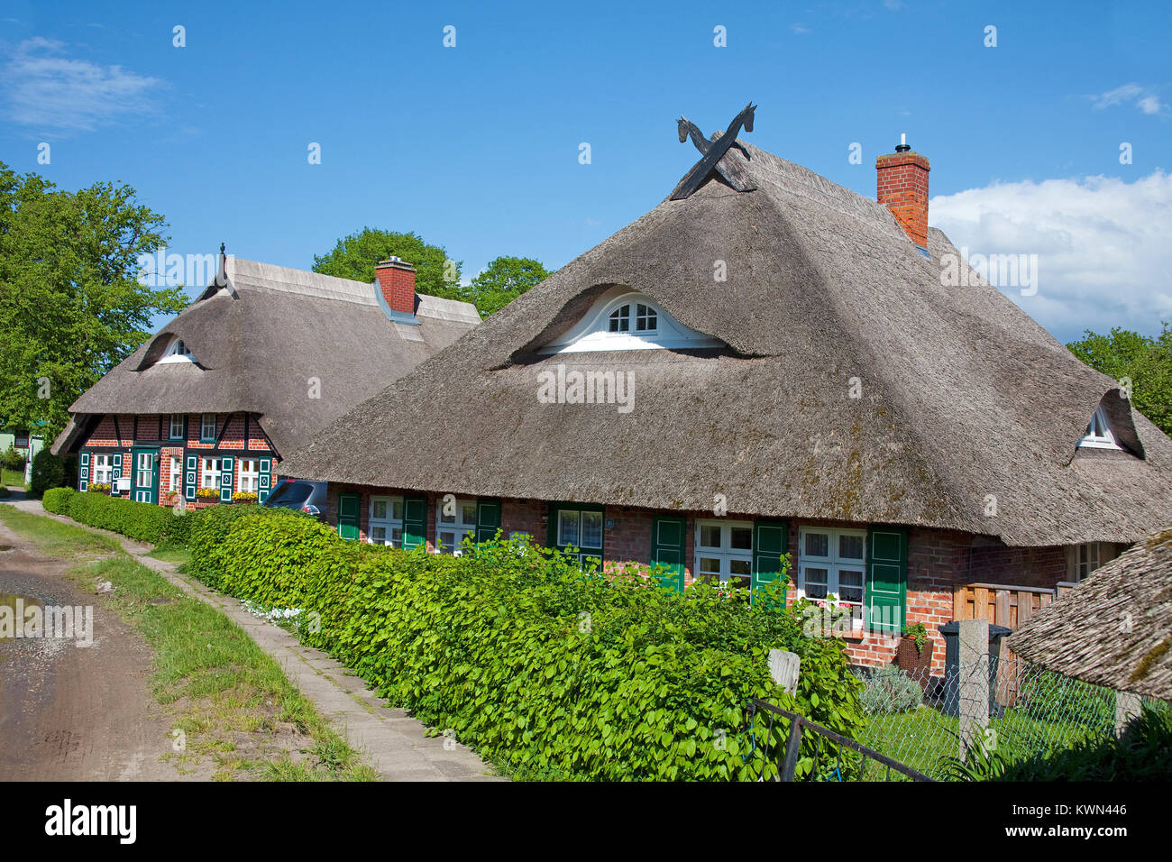 Tipiche case col tetto di paglia in corrispondenza di Wustrow, Fishland, Meclemburgo-Pomerania, Mar Baltico, Germania, Europa Foto Stock