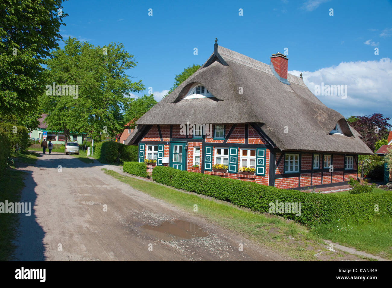 Tipica con tetto di paglia casa di Wustrow, Fishland, Meclemburgo-Pomerania, Mar Baltico, Germania, Europa Foto Stock