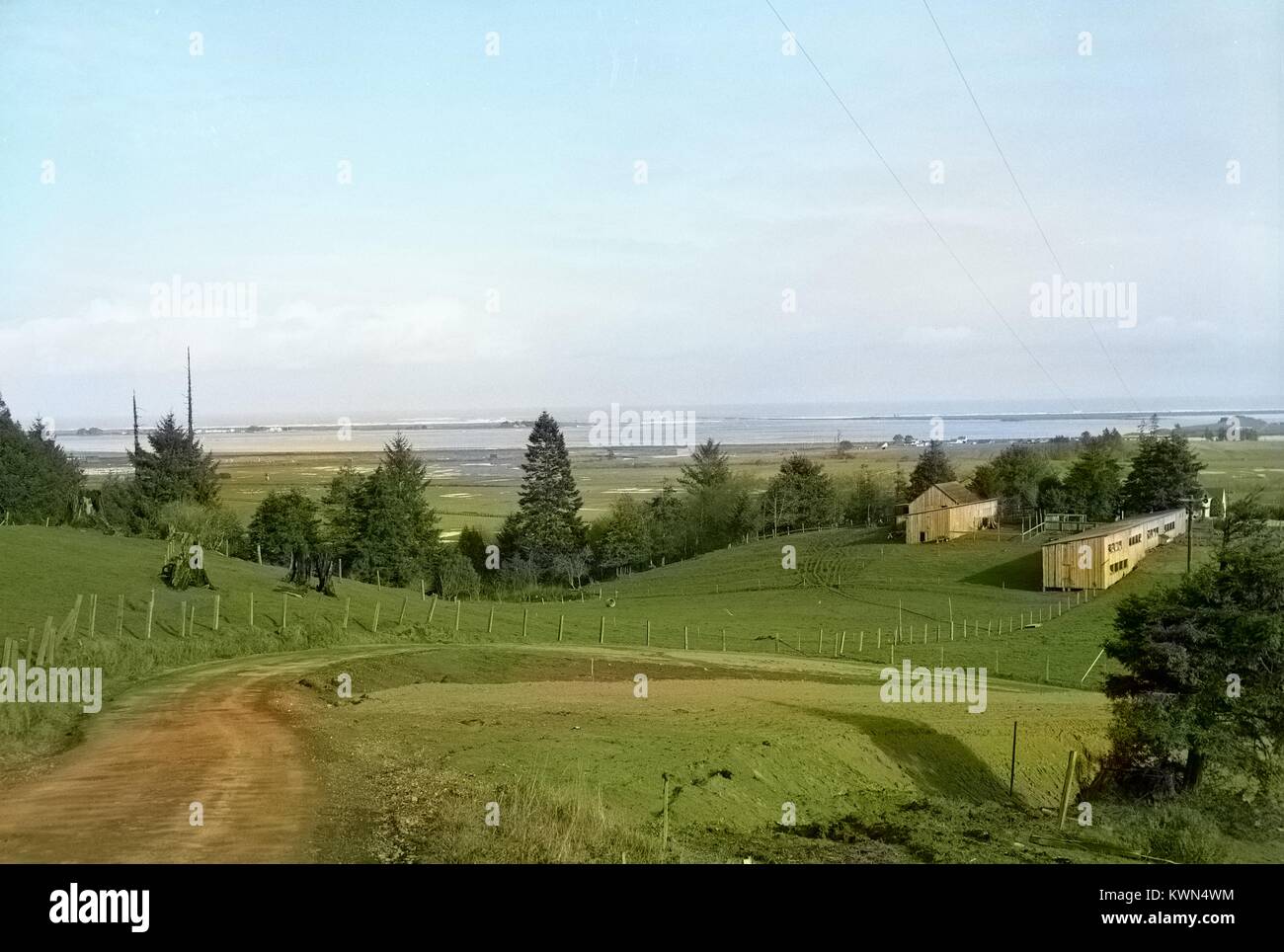 Un esteso terreno di proprietà rurali con fienili, prati e linee elettriche è visibile vicino all'Oceano Pacifico a Eureka, California, 1950. Nota: l'immagine è stato colorizzato digitalmente usando un processo moderno. I colori possono non essere periodo-precisa. Foto Stock