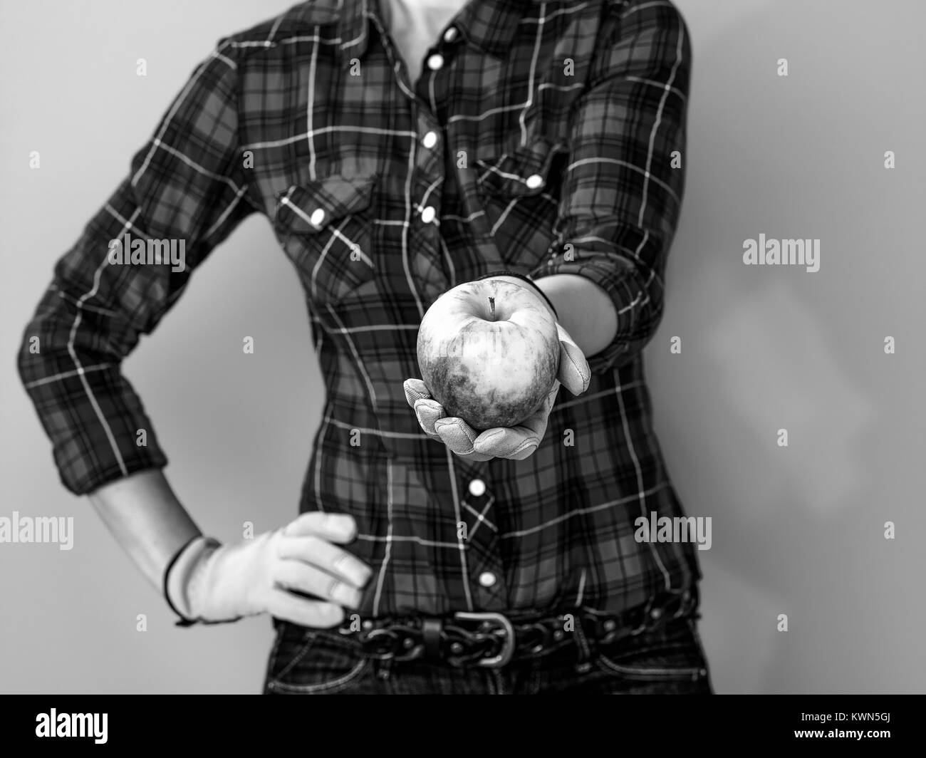 Cibo sano per il vostro tavolo. Primo piano su Donna Moderna agricoltore in camicia a scacchi isolato su giallo dando un Apple Foto Stock Cibo sano per il vostro tavolo. Primo piano su Donna Moderna agricoltore in camicia a scacchi isolato su giallo dando un Apple Foto Stock