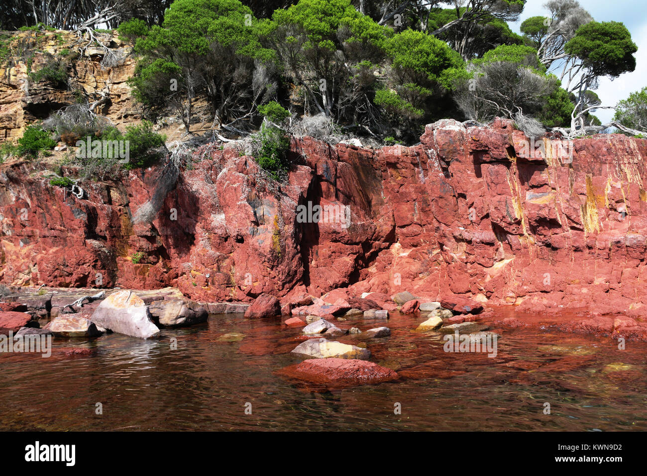 Rosso antico forme di roccia scogliera vicino Bittangabee Bay in Ben Boyd National Park, Eden, NSW, Australia. Costa di zaffiro, Australia regionale. Foto Stock