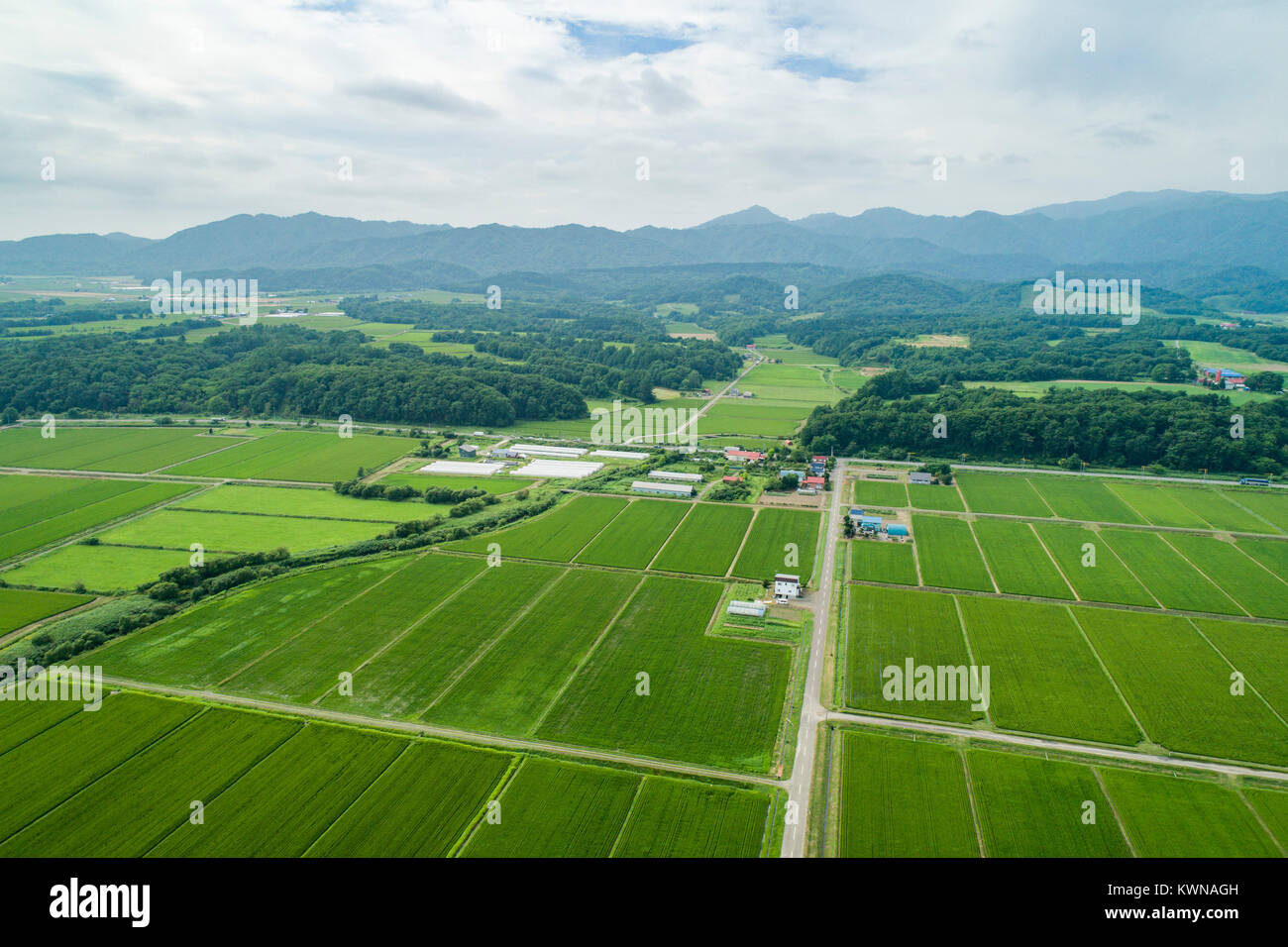 Fiume ishikari immagini e fotografie stock ad alta risoluzione Alamy