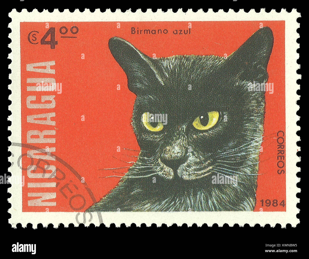 Nicaragua - timbro 1984, Edizione, animali mammiferi, Serie Gatti, Birmano blu, Felis silvestris catus Foto Stock