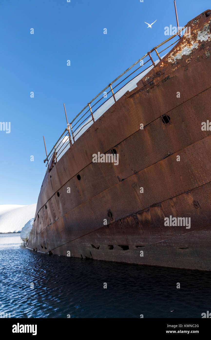 La caccia alla balena Norweigan naufragio; Gouvenoren; Enterprise isola; Antartide Foto Stock