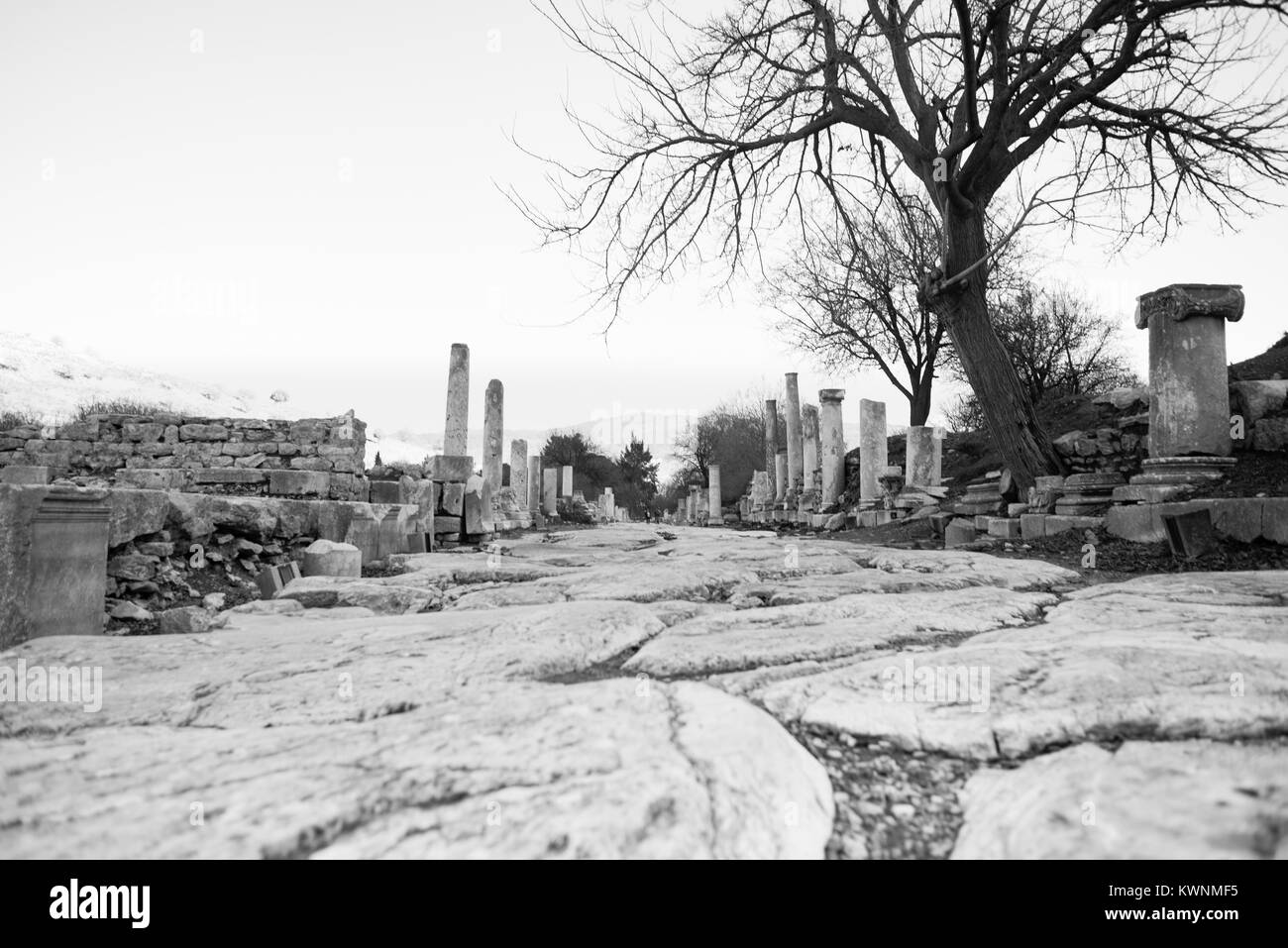 Strada di marmo e colonne di Efeso antica città Foto Stock