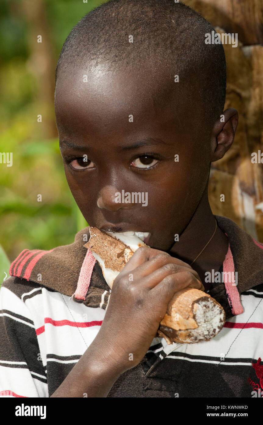 Bambino mangiare materie radice di manioca, Ruanda. Foto Stock